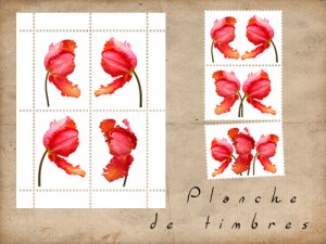 planche de timbre